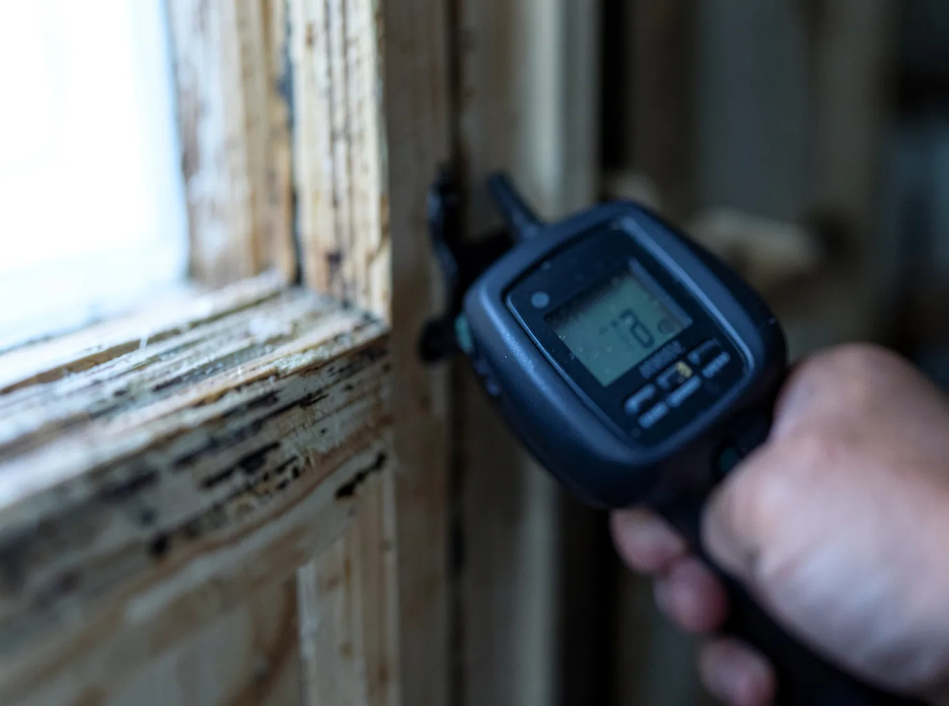 Moisture Inspection And Documentation in Seatac, WA
